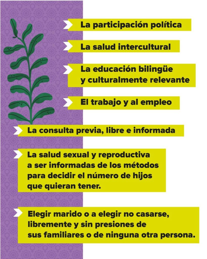 participaciónpol